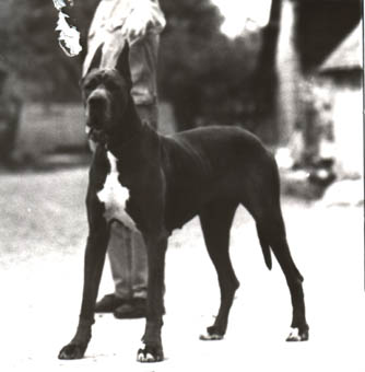 Griotte des Landes du Chatenet