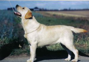 1 CC Allenies Stolen Moment