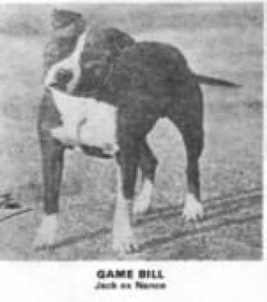 Game Bill