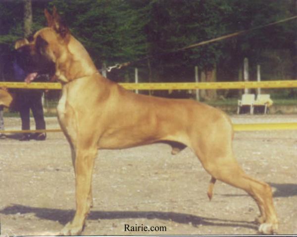 CH Drakkar des Petites Vernieres