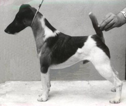 Yao von der Bismarckquelle