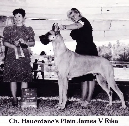 CH Hauerdane's Plain James V Rika