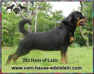 Zita Haus of Lazic