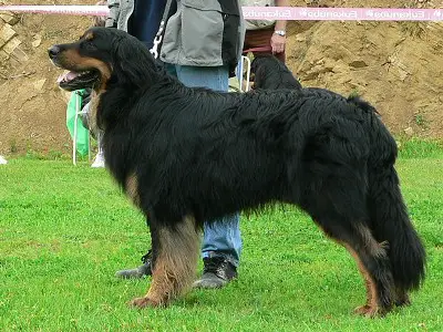 CHCZ, CHSK Artur z Duhového kopce