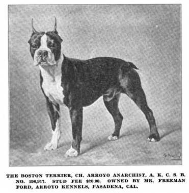 CH Arroyo Anarchist (198917)