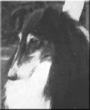 Beulahs Nightvictorious