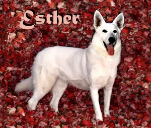 Jamin's Esther Von Terror's