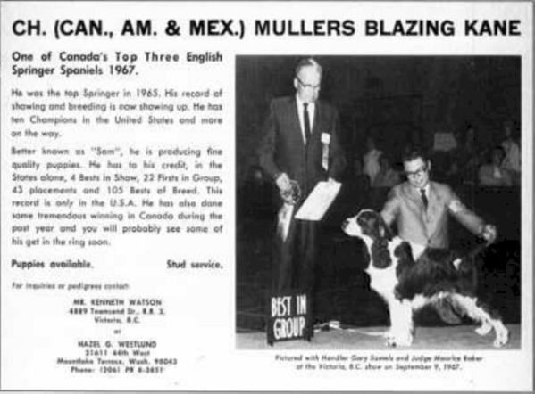 AM/CAN/MEX CH Muller's Blazing Kane