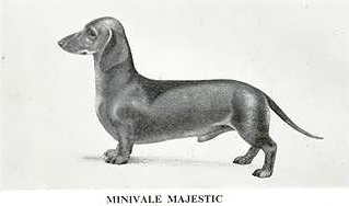 Minivale Majestic