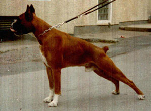 Eros v.d. Schmalspurbahn