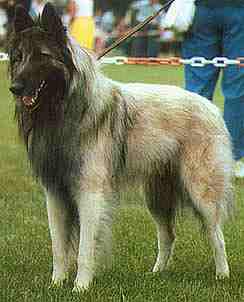 RE EU CH F+LUX Ares du Bois du Tot