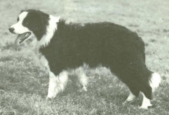 Craig ISDS 47577