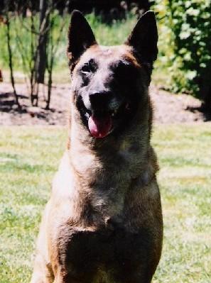 Vera-Stella van de Rotbrink