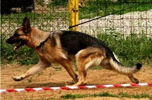 Enke so Slavjanskoy Dushoy