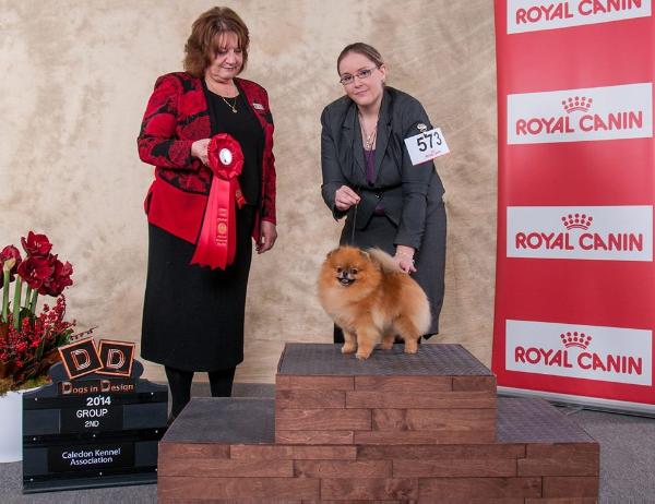 CAN GCH Jenuwane I’m Sexy and I Know It