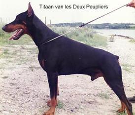 Titaan v. Les Deux Peupliers