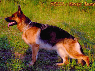 V(RU) Prasso s Vjatskih Holmov