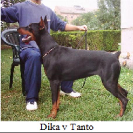 Dika v. Tanto