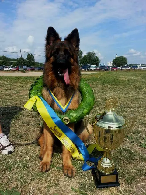 NORDJW-12, V1 BSZH 2 Rewyrs Hedwig