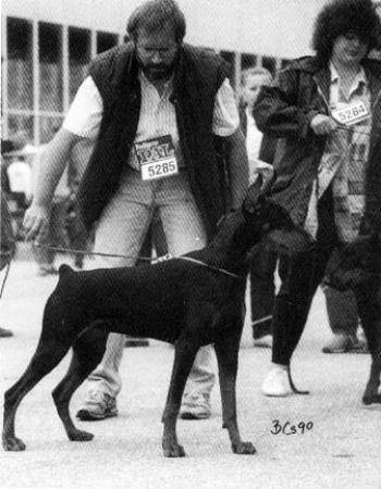 Lou Lou v. Frankenhorst