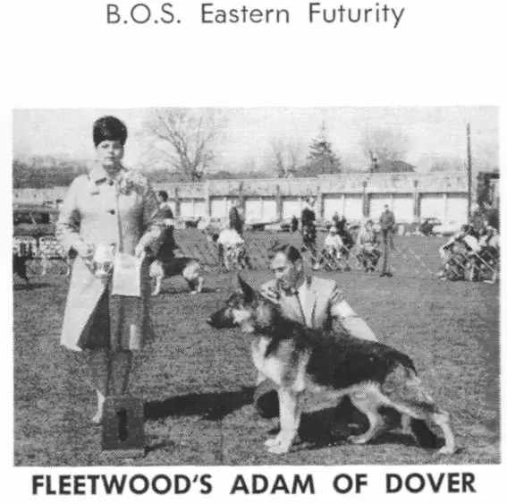 Fleetwood's Adam of Dover