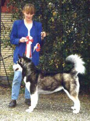 INT/MULTI CH Czarik's Ashanti