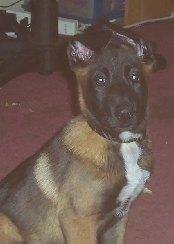 Parker