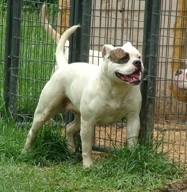 Whitey's Lucy Lu of Tettaton