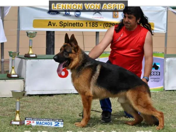 LENNON Von ASPID