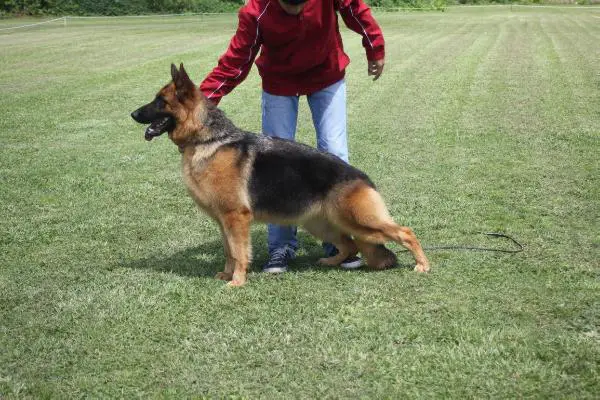 Aruba de los acantilados