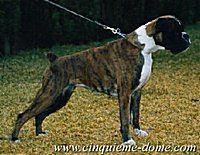 Pat von der Morrequelle