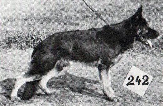 Logan vom Baruther Land