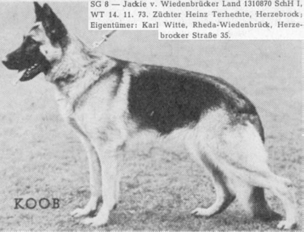 V Jackie vom Wiedenbrücker Land