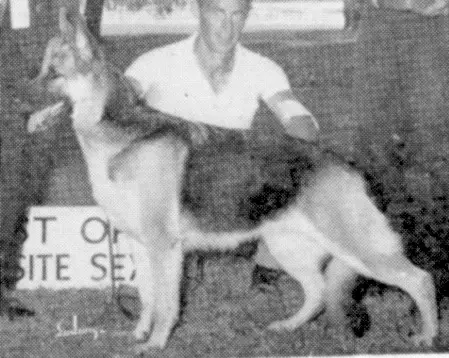 SEL CH (US) Lewis Lana of Delray