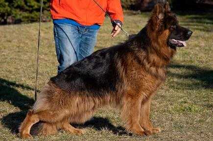 V Kazan vom kirschental