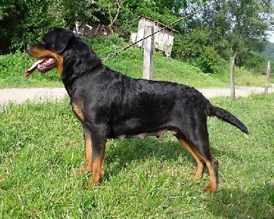 Djana of Sanny Hill