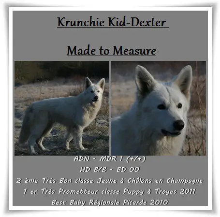 Krunchie Kid Dexter Made To Measure