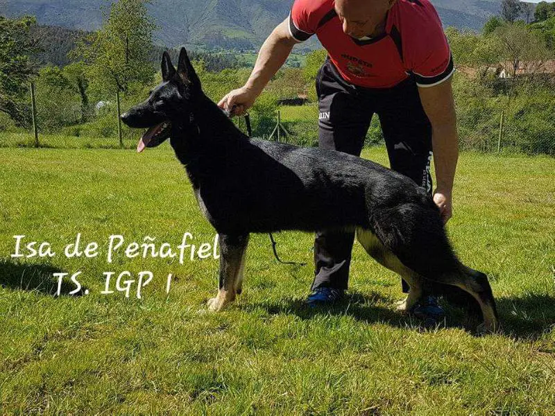 Isa de Peñafiel
