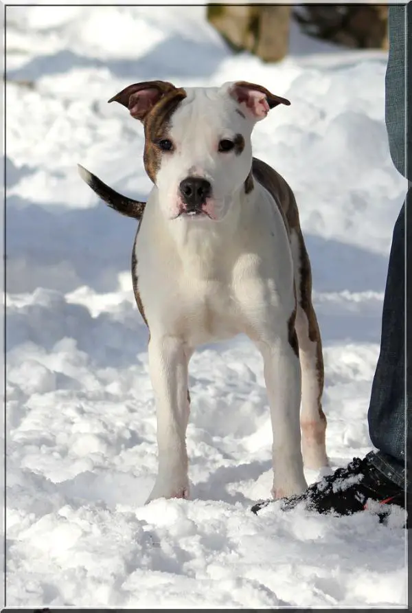 OldTrack's Hit The Lights