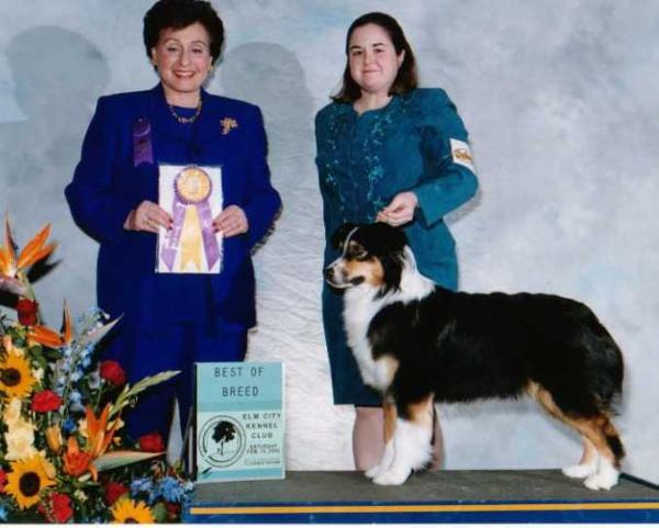 AKC/ASCA CH Crofton Remember Wren