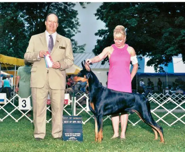 AKC CH. Holly Wood's Race the Son
