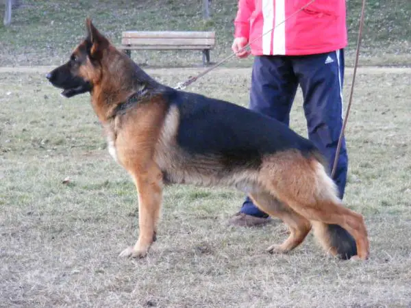 Somosmahegyi Urán