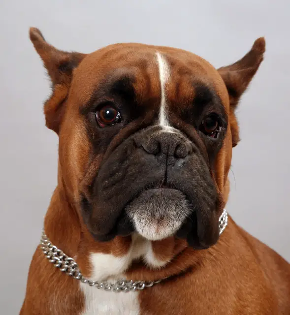 Morgana del Colle Del Infinito