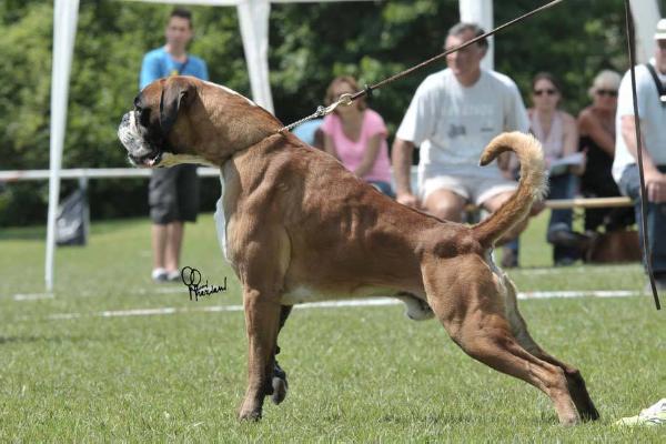CH.ATIBOX Mojito dei Quattro Calzini