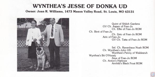 Wynthea's Jesse of Donka