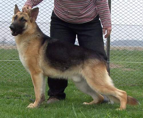 Raebark's Dele or No Deal