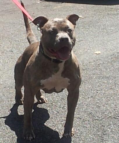 TRON'S PERFECT STORM