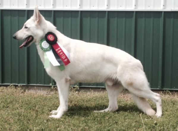 Faithful's Mighty Judge