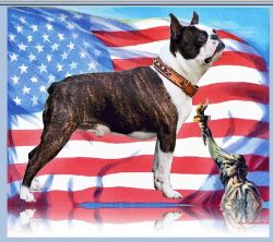 Kennedy's Ted Williams Way