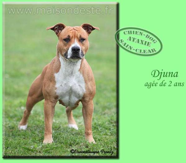 Djuna de la maison d este